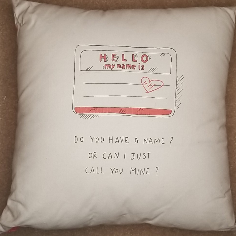 New Nordstrom at Home Pink & Ivory Pillow